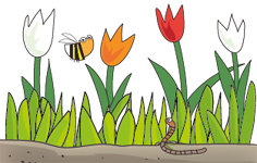meer plantjes